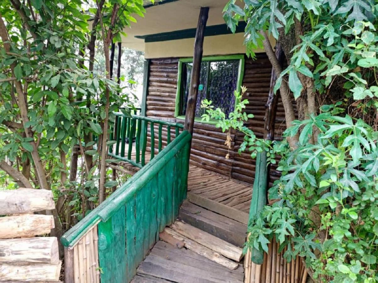 Bed and Breakfast Ruhija Community Rest Camp Kabale Exteriér fotografie