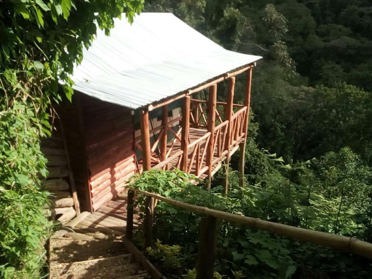 Bed and Breakfast Ruhija Community Rest Camp Kabale Exteriér fotografie